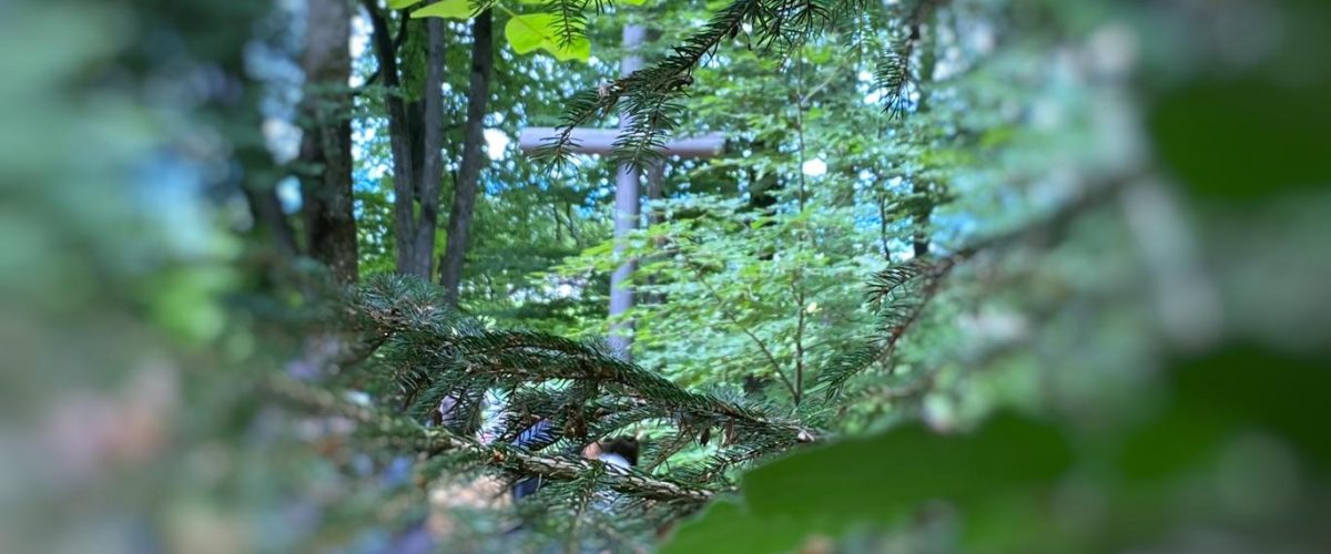 Erfahrung und Ertüchtigung